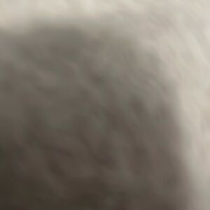 Meet your Posher, Robbie